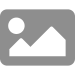 8 common mistakes when using flea and tick collars on dogs